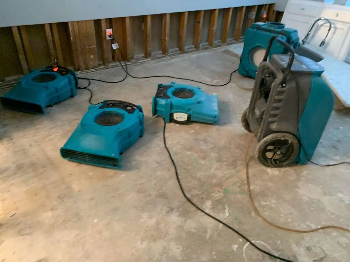 Water Damage Assessment in Black Mountain, NC